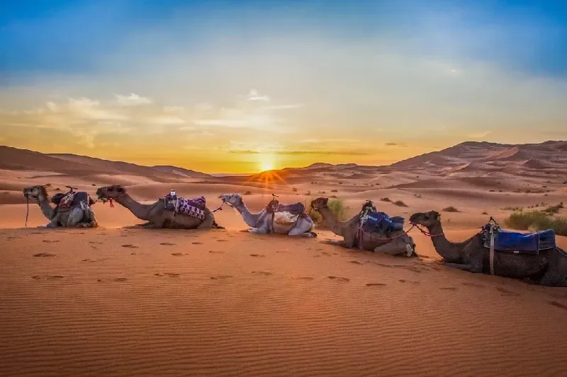 Tour Eclissi Solare Marocco 2027